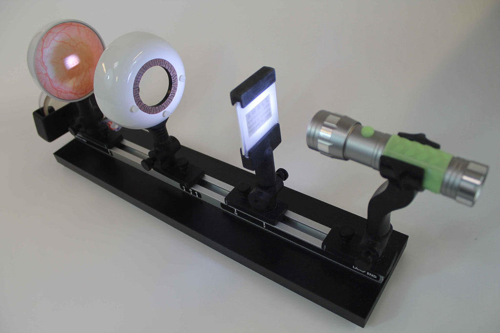 How to Engage Students with the Hands-On Rubin’s Eye Vision Lab (Video Demo)