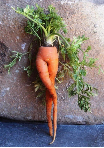 The Pandamit is making us fatter