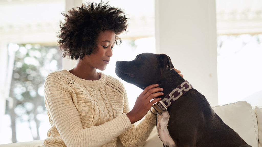 Our Favorite Science News Stories of 2017