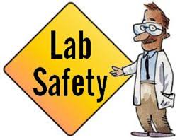 Full-time reinforcement of safe lab conduct and lab techniques