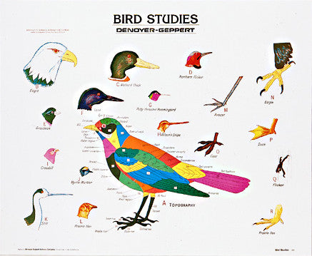 1892-10 Bird Studies