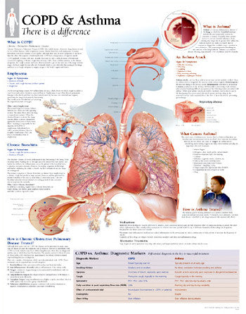 2355-08 COPD/Asthma