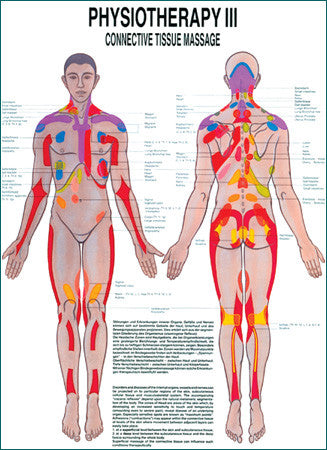 3093P-08 Connective Tissue Massage