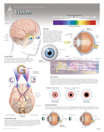 8220-08 Vision