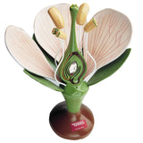 0500-00  Giant Dicot Flower