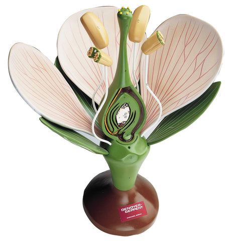 0500-00  Giant Dicot Flower
