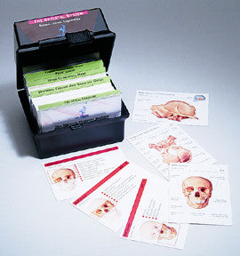 FC01  The Skeletal System Flash Card Set