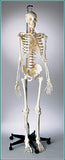 S67F Premier Flexible Series Skeleton - Suspension - Painted, Number-coded - Female