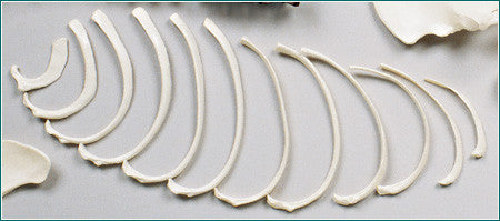 SB20-S Ribs, Set of 12 (unmounted) - Left