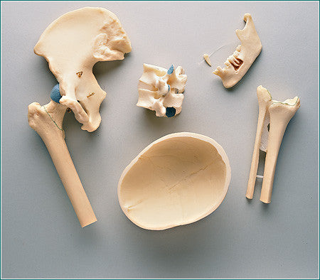 SJ30 Set of Five Joints