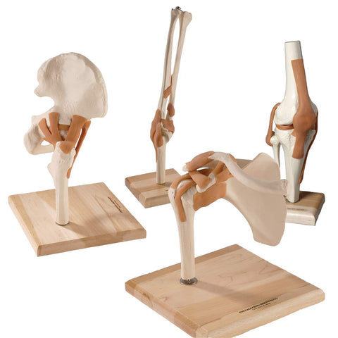 SJ664 UltraFlex Joint Quartet