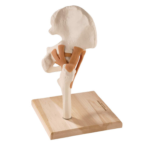 SJ66H UltraFlex Full Function Hip Joint