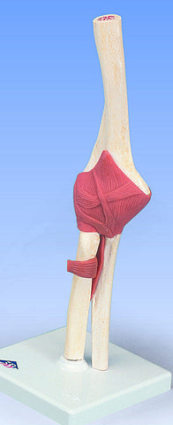 SJ831  Advanced Elbow Joint