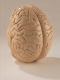 0825-60 Giant Brain, Student Edition