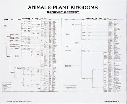 1909-10  Two Kingdom Classification System