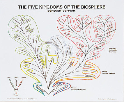 1914-10  The Five Kingdoms of the Biosphere