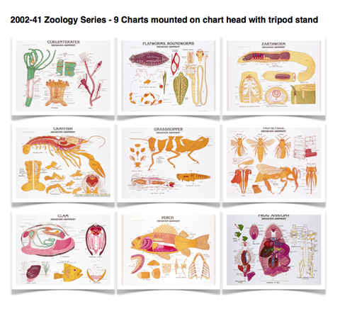 2002-41 Zoology Chart Set of 9 with Tripod Stand