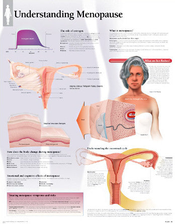 2505-08 Understanding Menopause