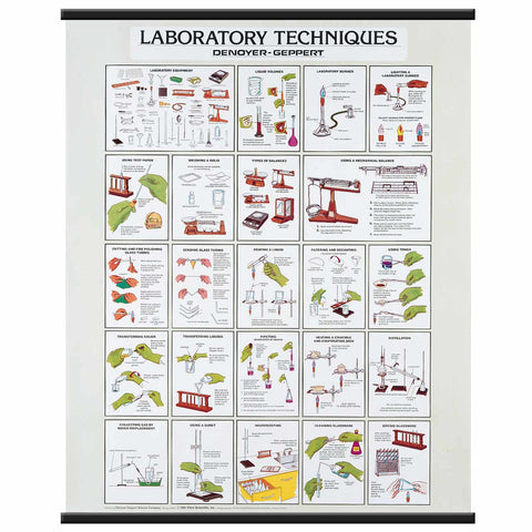 2028-10  Laboratory Techniques Chart