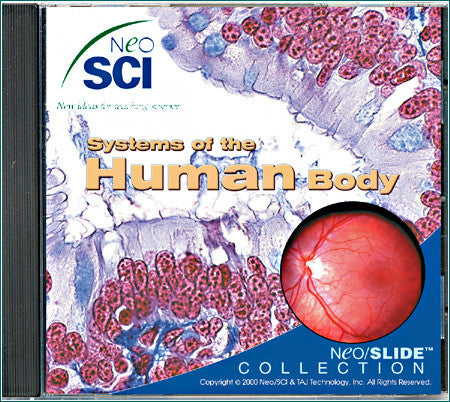 CD85  Systems of the Human Body