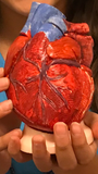 192D Paint A Heart Kit