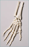 SB37 Elastic-mounted Hand Skeleton with Distal Radius and Ulna