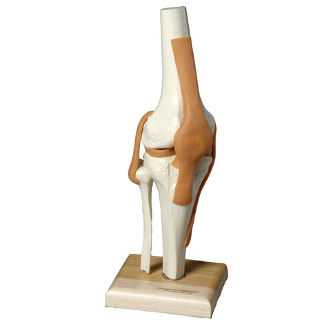 SJ66K UltraFlex Full Function Knee Joint