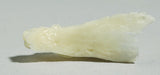 SK30-N Nasal Bone - Left