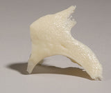 SK30-O Zygomatic Bone, right