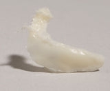 SK30-V Lacrimal Bone, Left